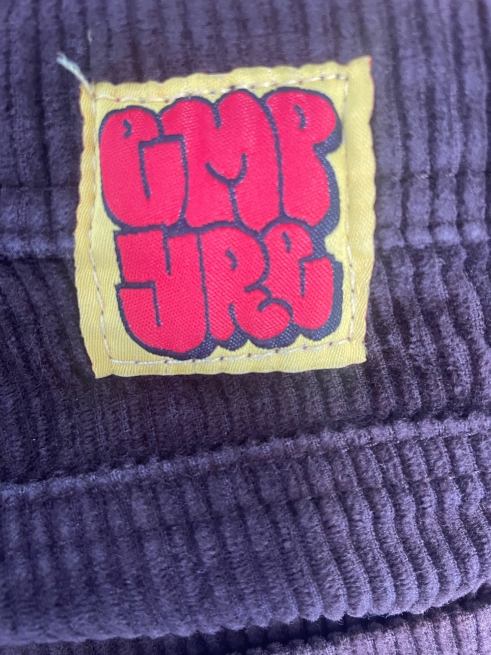 Empyre Purple Corduroy Kids Pants with Yellow Patch